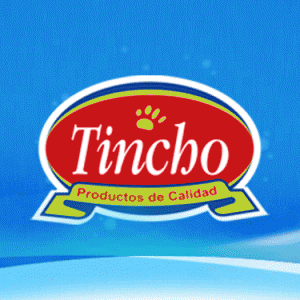 Tincho