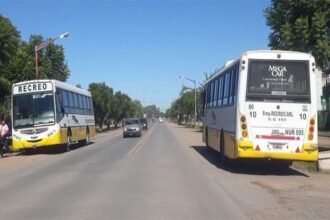 COLECTIVOS