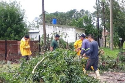 ramas cuadrillas municipalidad