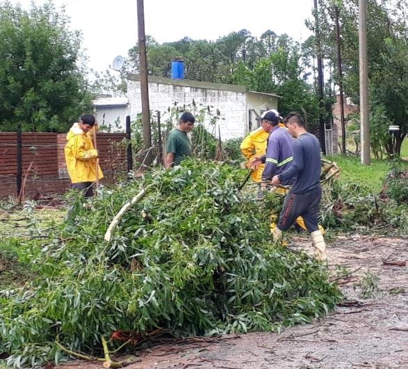ramas cuadrillas municipalidad