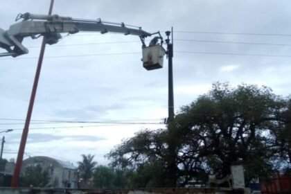 epe grua luz