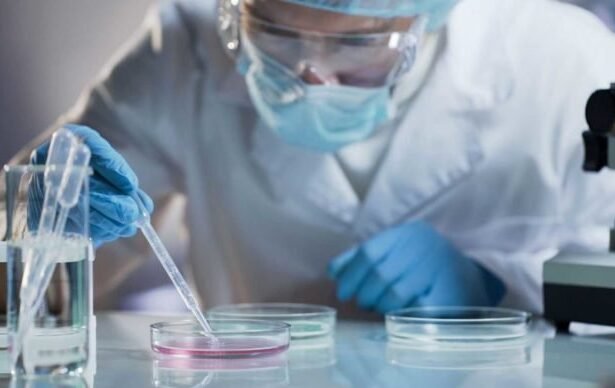 laboratorio coronavirus