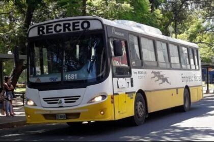 cole recreo scaled 1