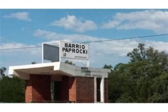 paprocky scaled 1