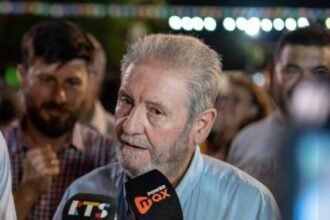 alberto pallero