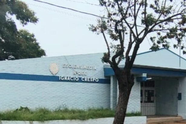 escuela 266