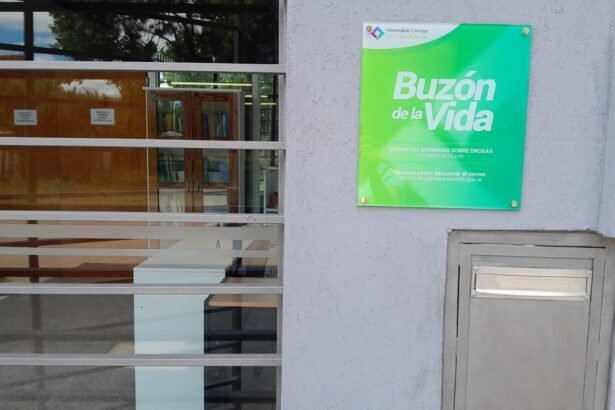 buzon de la vida recreo
