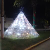 Vecinos de Laguna Paiva armaron un arbolito navideño