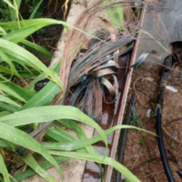 Detuvieron a un sujeto que robaba cables en inmediaciones de la R 168