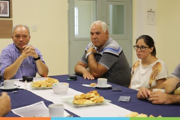 MUNICIPALIDAD ESTUDIO ROJO