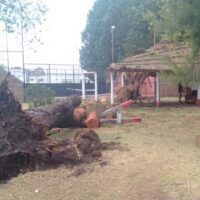 Caída de arboles y destrozos en el club Libertad de Nelson