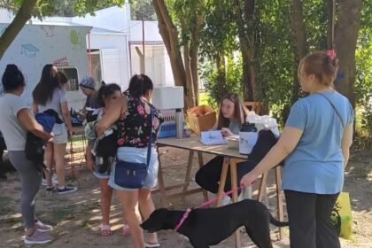 castraciones recreo
