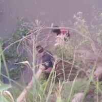 Rescataron a una joven atrapada en el río tras volcar con su kayak