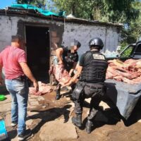 Aprehendieron a un joven y secuestraron 700 kg de carne en Frontera