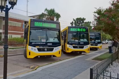 nuevos coles recreo