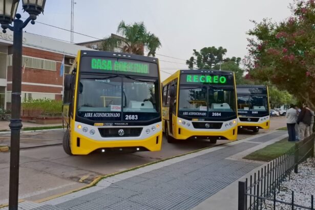 nuevos coles recreo