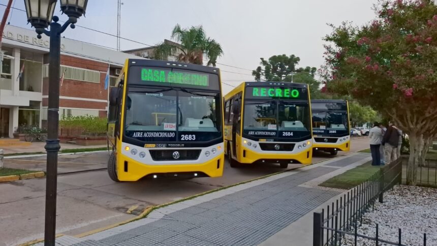 nuevos coles recreo