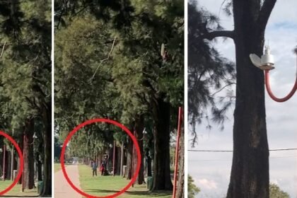 vandalismo luminarias cementerio