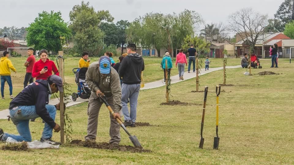arbol recreo 1