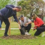 arbol recreo 2