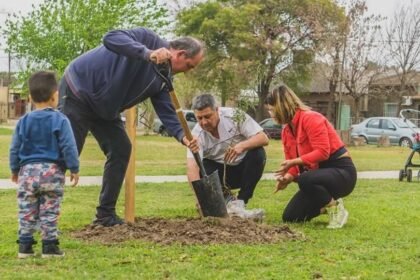arbol recreo 2