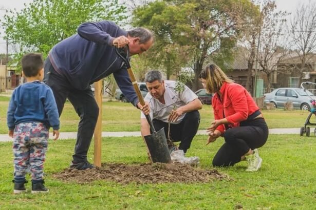 arbol recreo 2