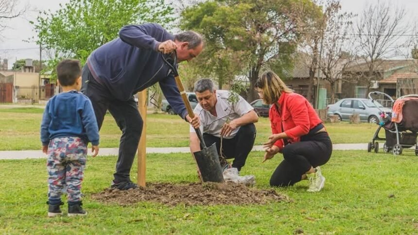 arbol recreo 2