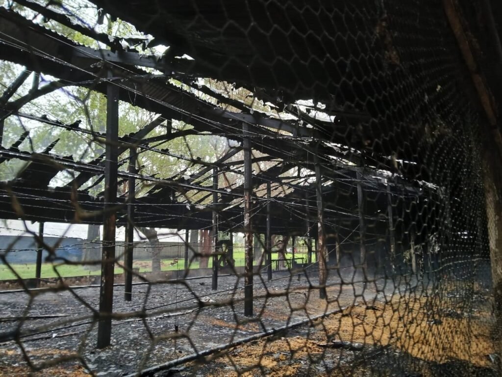 incendio gallinero 1