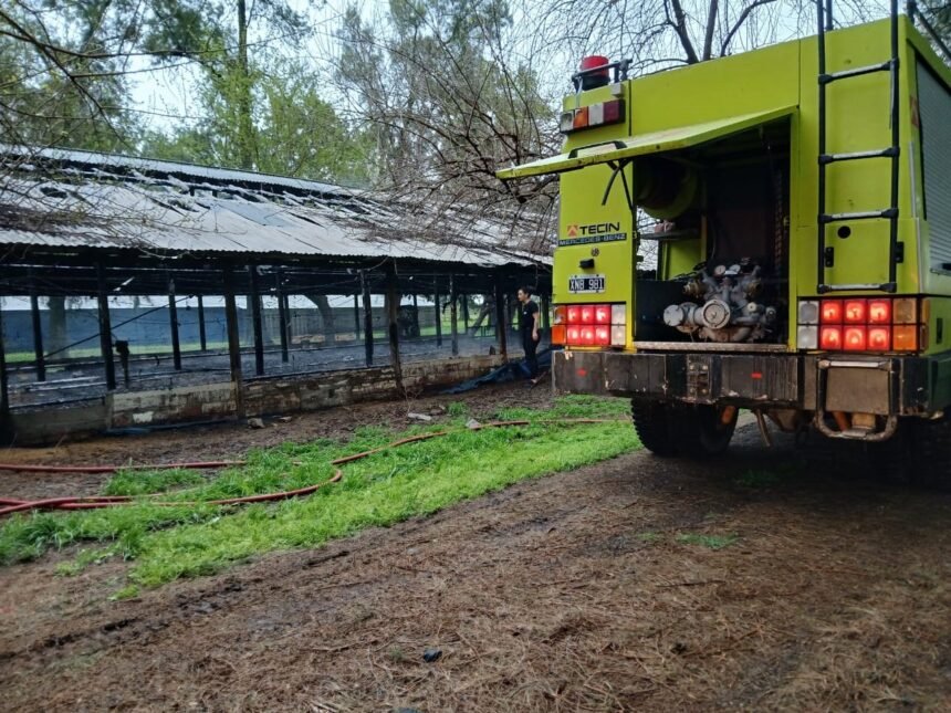 incendio gallinero