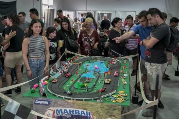 muestra autos miniatura