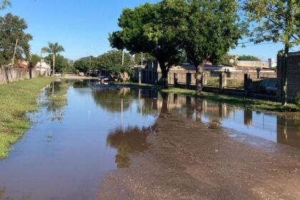 calle agua coop