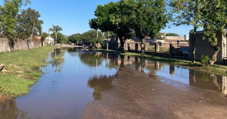 calle agua coop