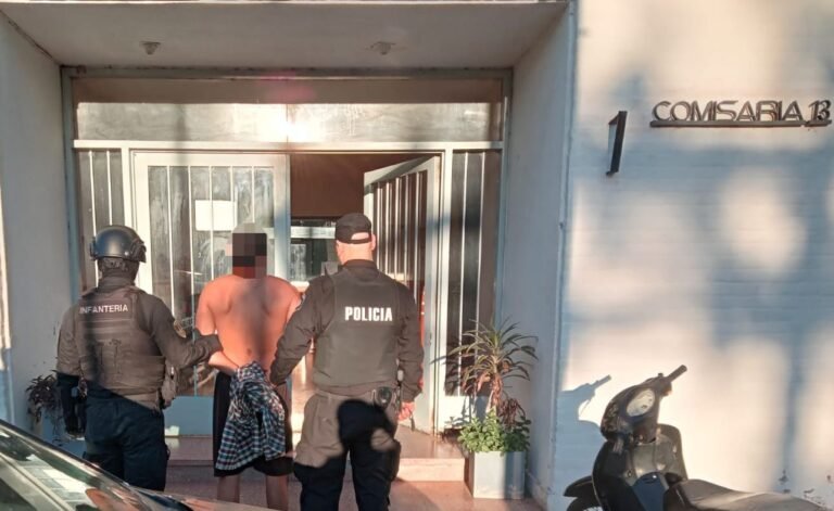 deetenido perro paiva
