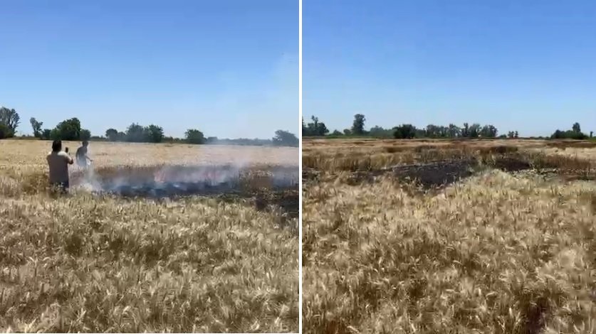 Se registraron dos incendios de trigales en 24 horas en Recreo 58 campo maiz