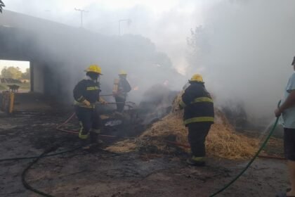 incendio rollos alfalfa