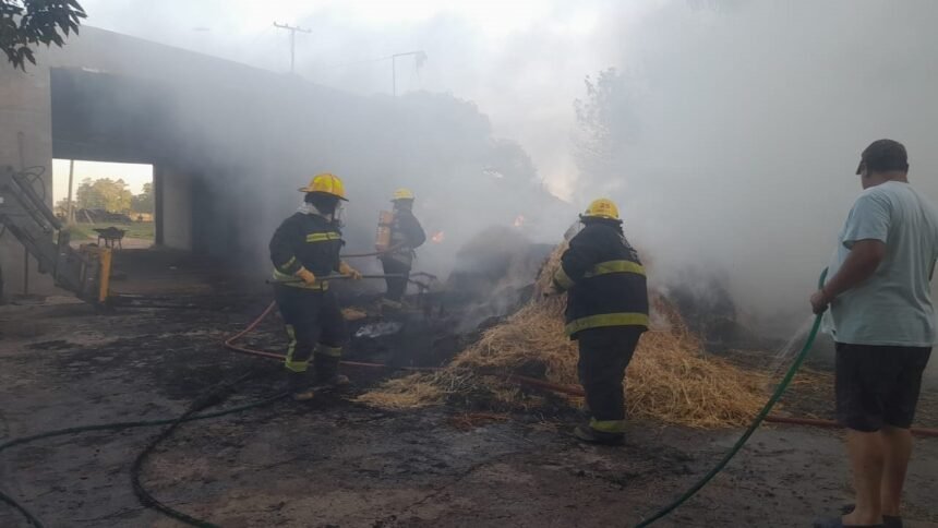 incendio rollos alfalfa