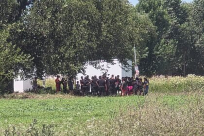 vecinos usurpacion