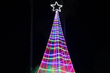 paiva arbol