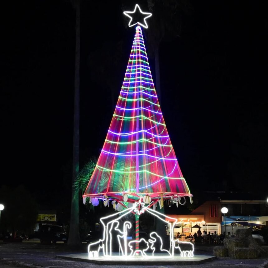 paiva arbol