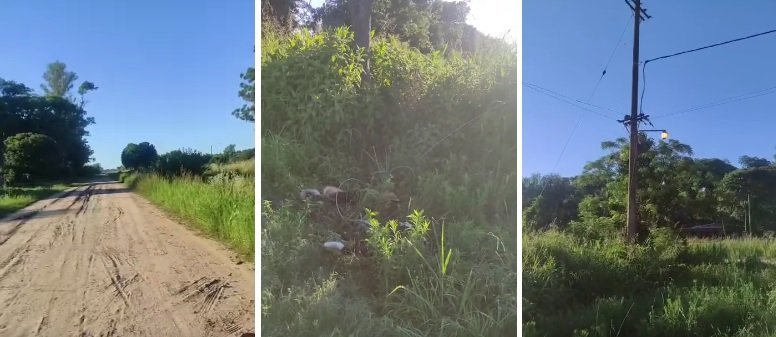 Monte Vera: dos perros murieron electrocutados en zona rural 56 perros electricidad mv