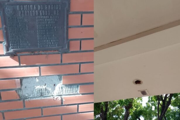 placa luz