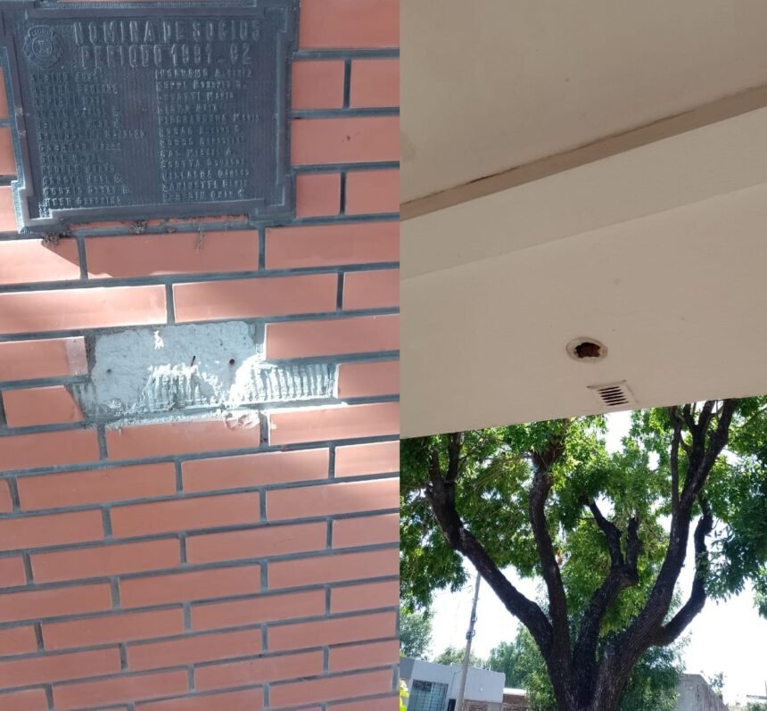 placa luz
