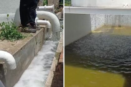planta agua recreo
