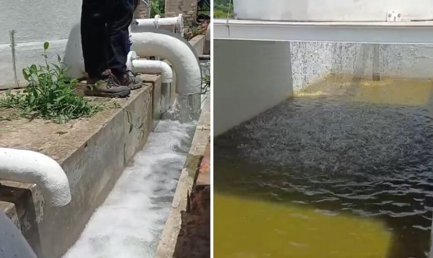 planta agua recreo