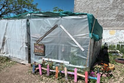 vivero 1277