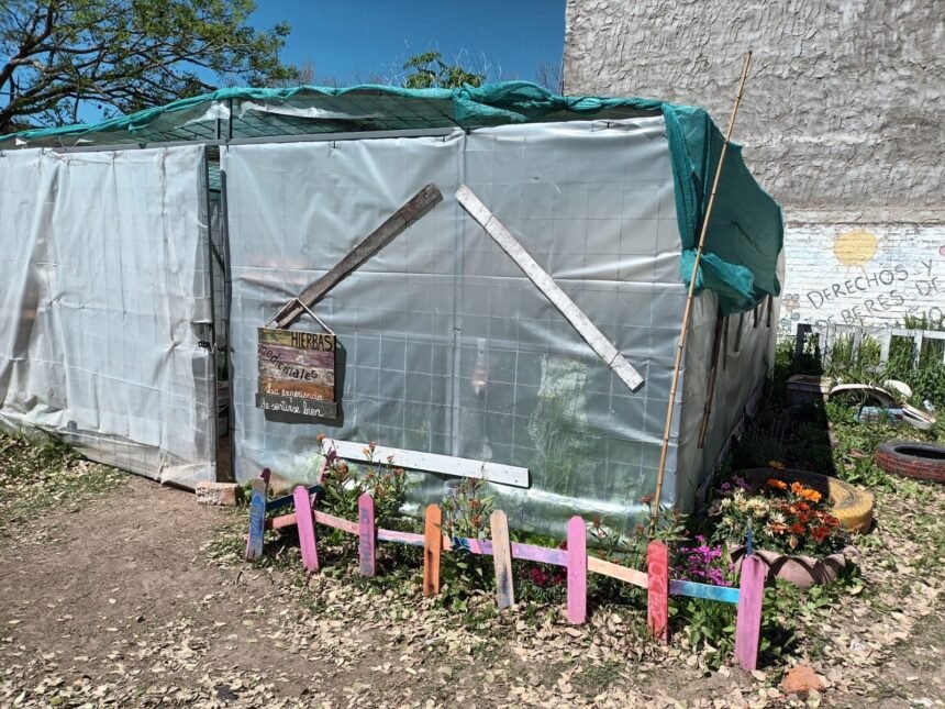 vivero 1277