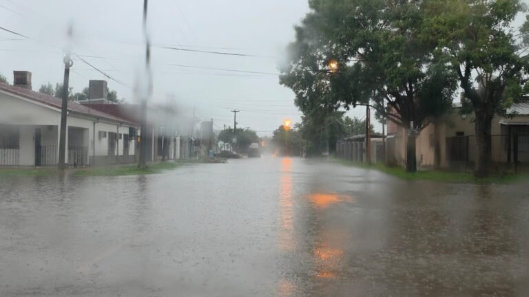 Qué dice el Plan de Contingencia de Recreo ante una posible emergencia climática