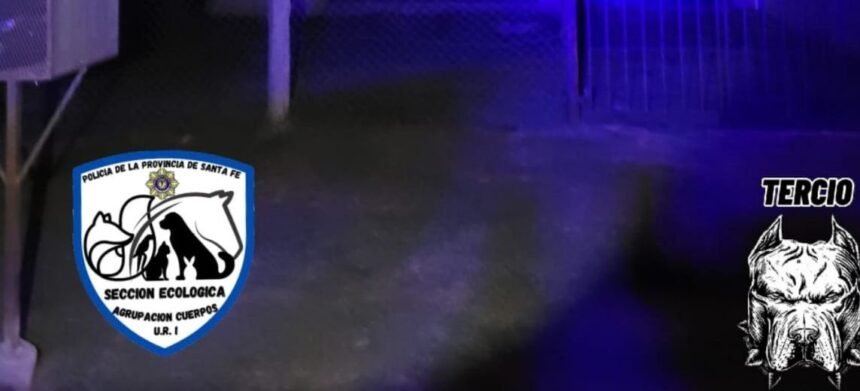 Verificaron una denuncia por maltrato animal en Recreo sin detectar irregularidades 60 recreo animalllll