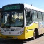 linea 8 cole