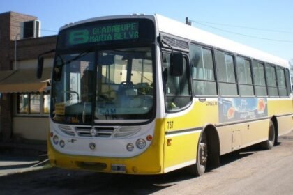 linea 8 cole